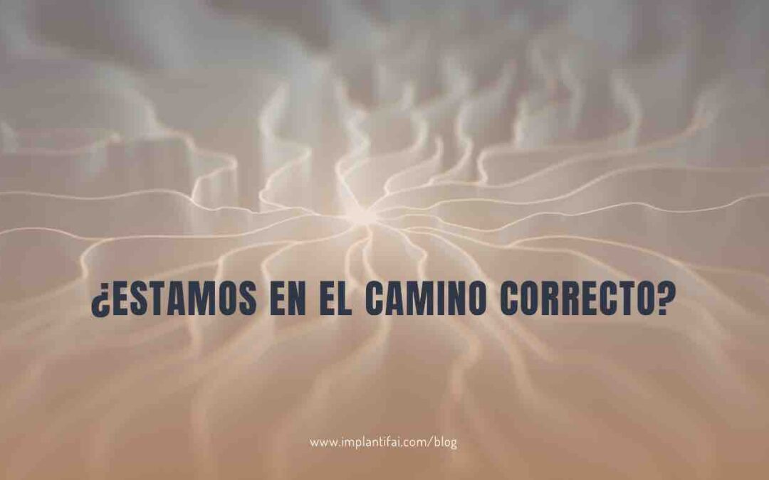 ¿Estamos en el camino correcto?